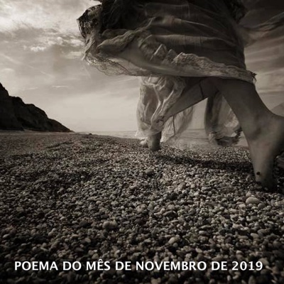 Poema do mês de novembro de 2019