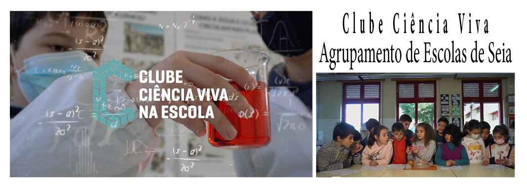 20210203 ciencia viva