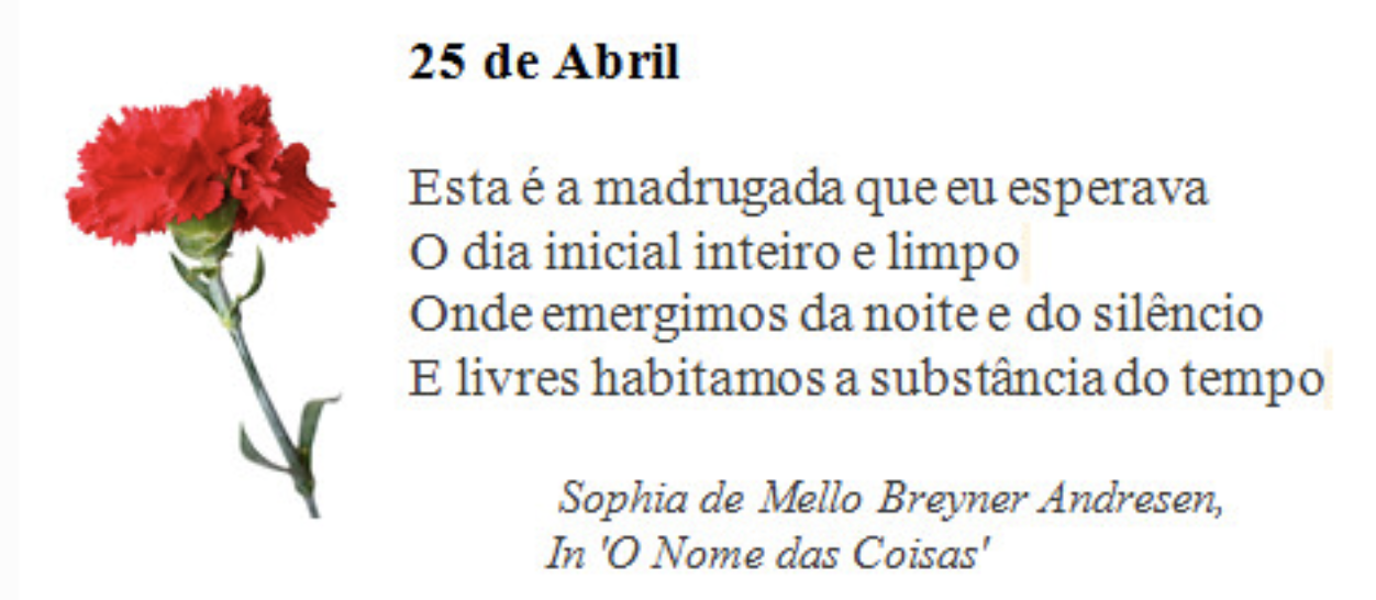 texto